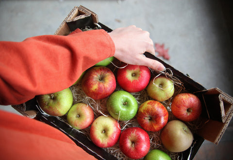 September - What's in Season